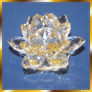 Goldener Lotus der Erleuchteten Weihnachtsedition 2024