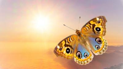 Blog 6 channeling ashtar 2020 12 1
