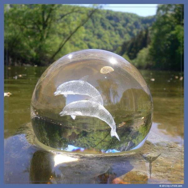 Delfin-Kugel – Bild 4