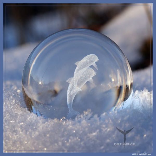 Delfin-Kugel – Bild 7