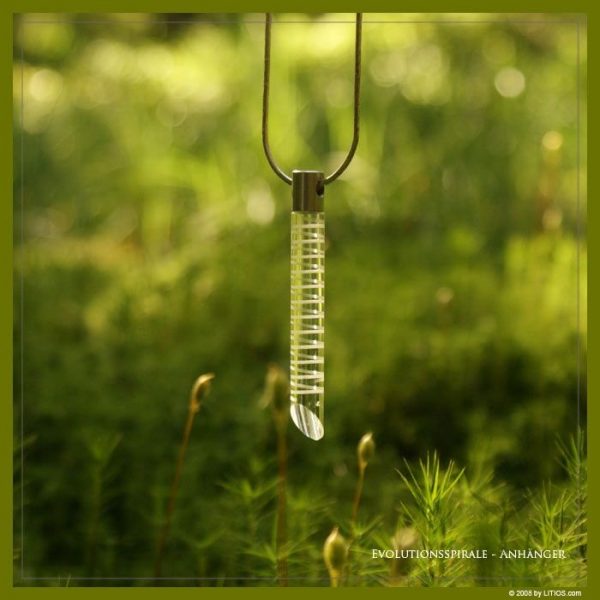 Evolutions-Spirale – Bild 3
