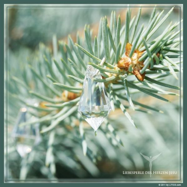 Liebesperle – Bild 4